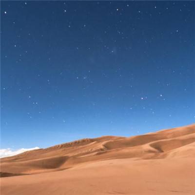 宠物王冠内购破解版下载